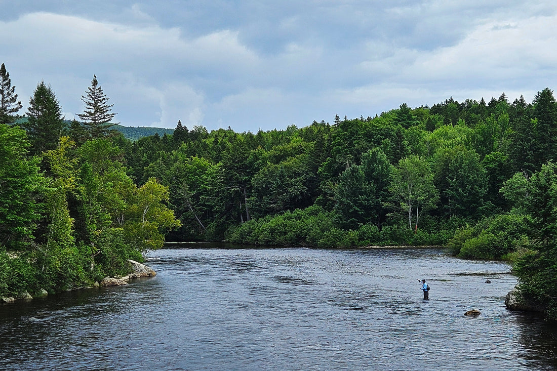 Dead River in Maine fly fishing guide service