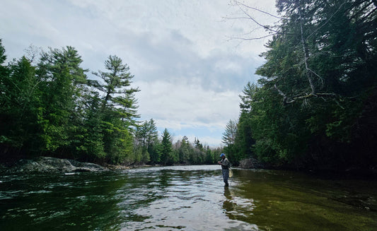 Grand Lake Stream in Maine fly fishing guide service