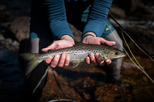Crooked River in Maine fly fishing guide service