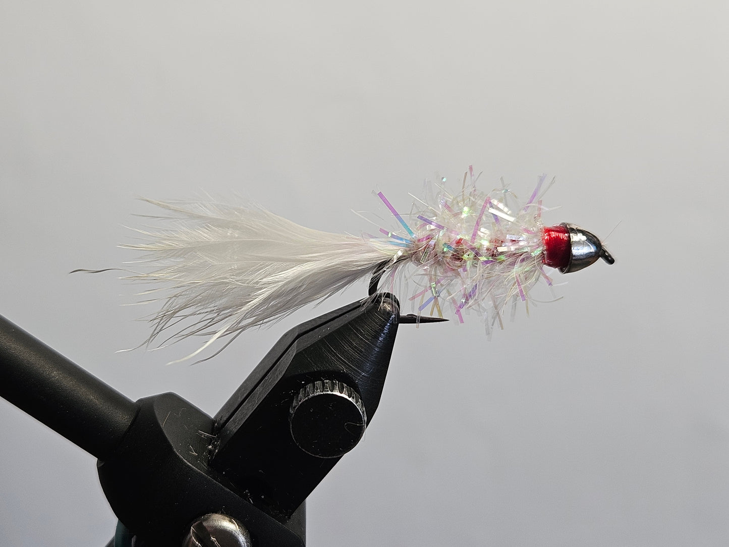 Streamer - Golden Retriever