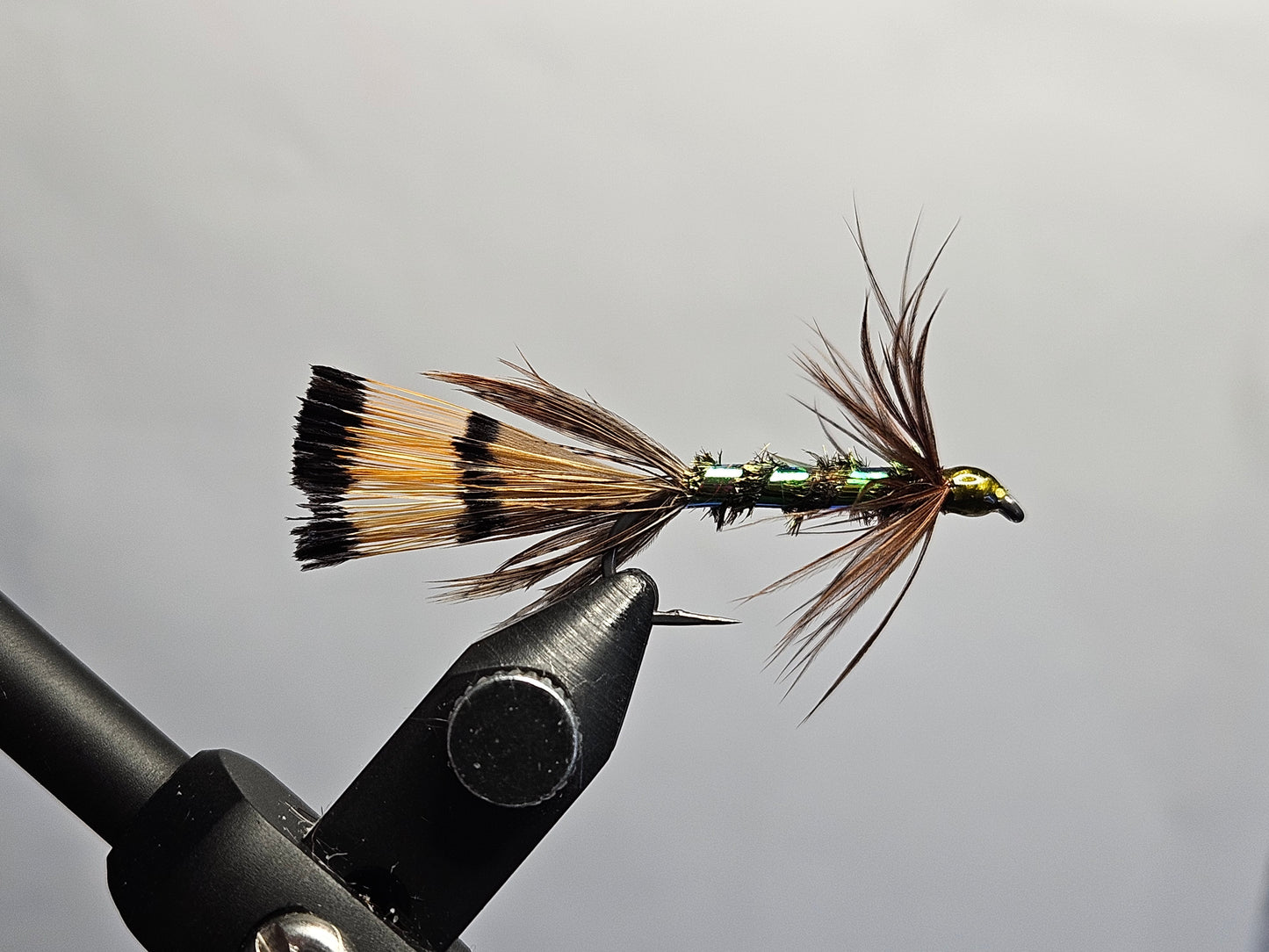 Streamer - RoCo 3Bird