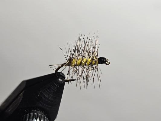 Dry/Emerger - Griffith's Gnat