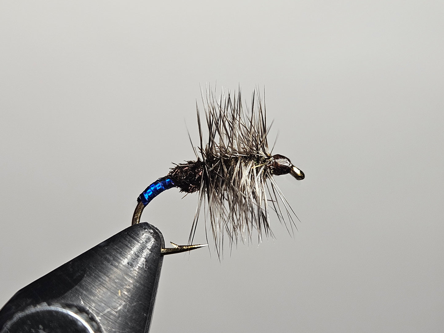 Dry/Emerger - Peacock CadGnat