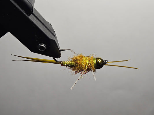 Nymph - Golden Stonefly