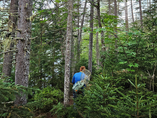 Magalloway River in Maine fly fishing guide service