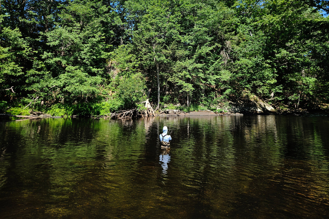 Fly angler fishes the St. George River in Maine on a guided trip with New England Fly Company.