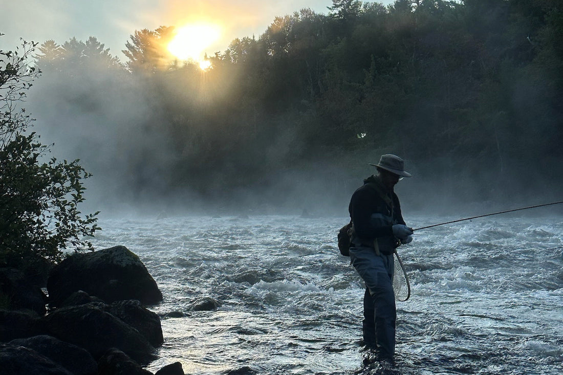 Aroostook (The County)