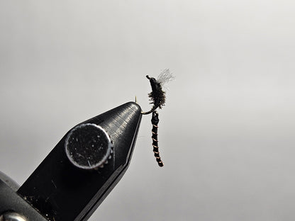 An articulated midge fly pattern tied by New England Fly Company.