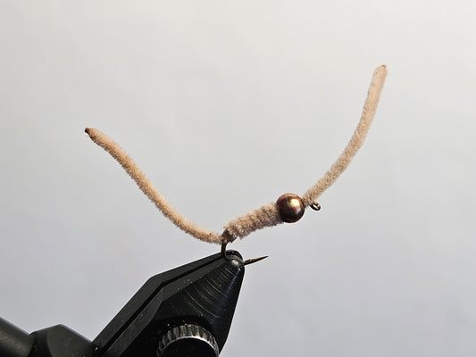 Terrestrial - San Juan Worm