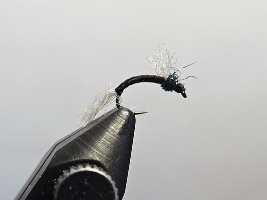 Nymph - RS2