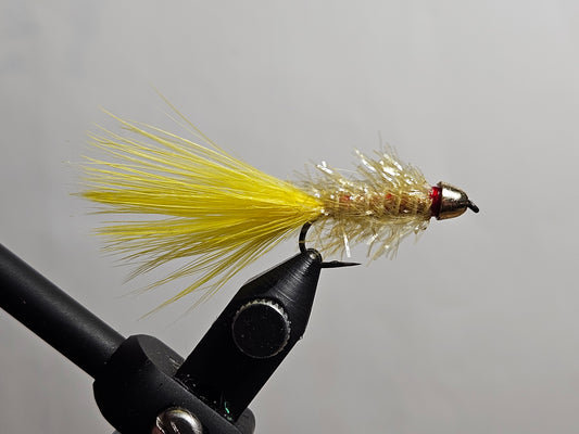 Streamer - Golden Retriever