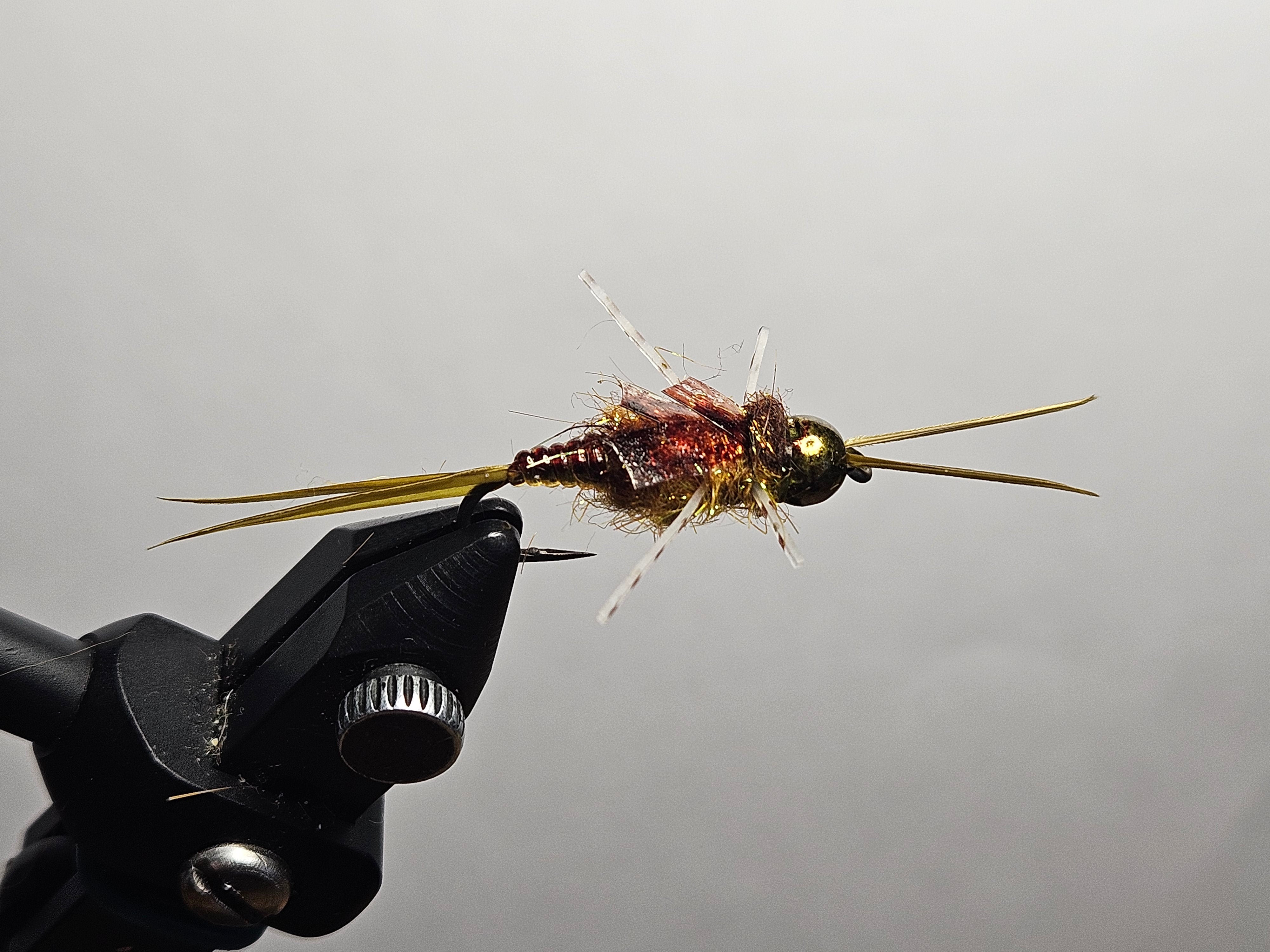 Golden Fly Nymph - Golden Stonefly – New England Fly Company