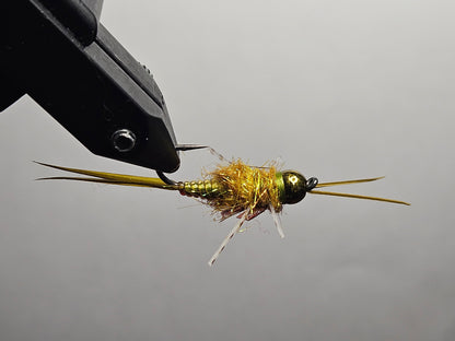 Nymph - Golden Stonefly
