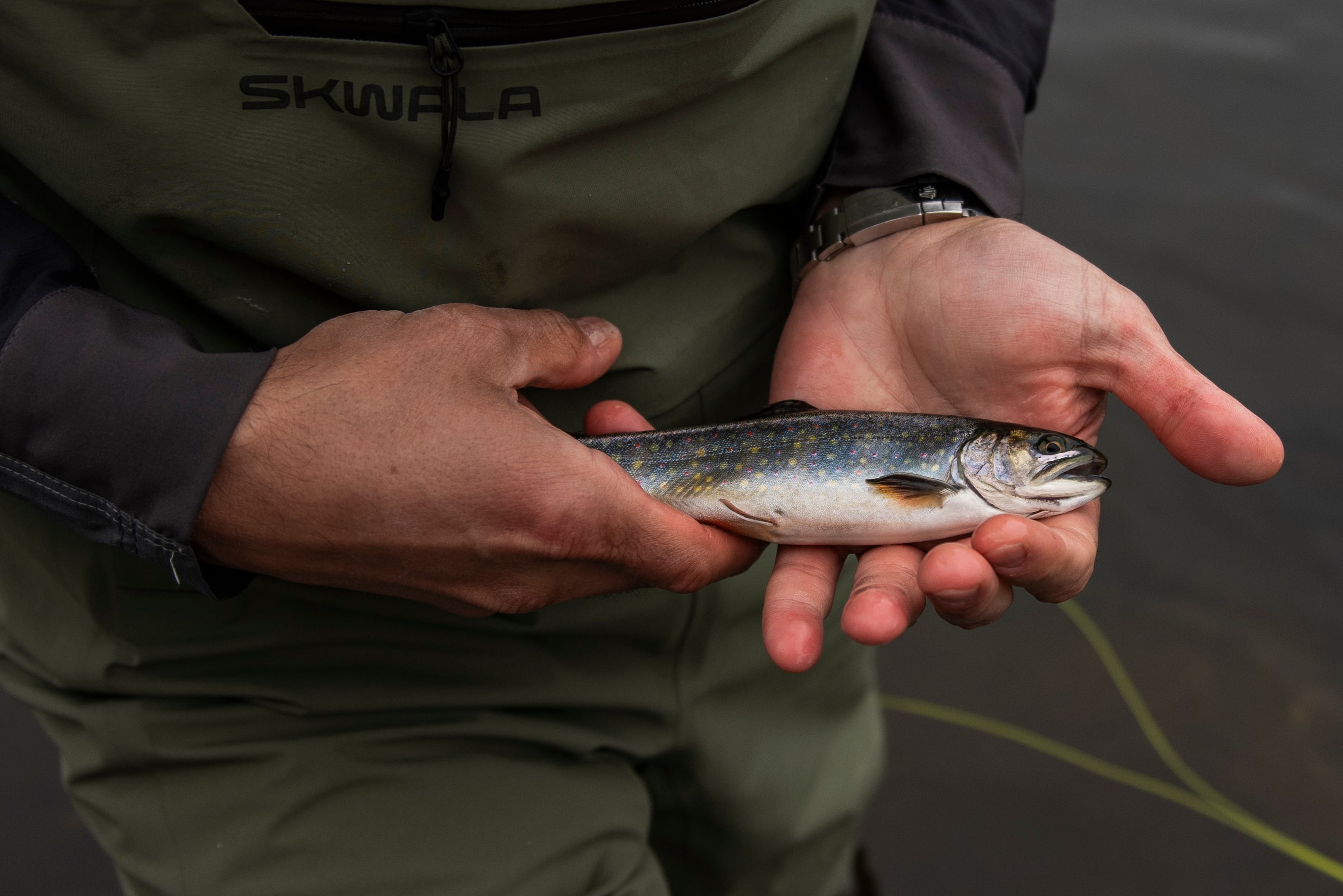 Beginner angler holding a Maine brook trout caught on a trip with New England Fly Company.