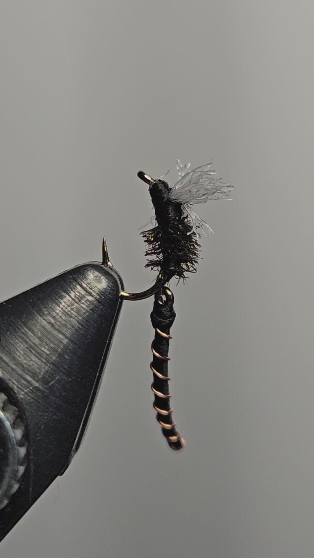 A video of an articulated midge fly pattern tied by New England Fly Company that shows the motion of the articulated back section.